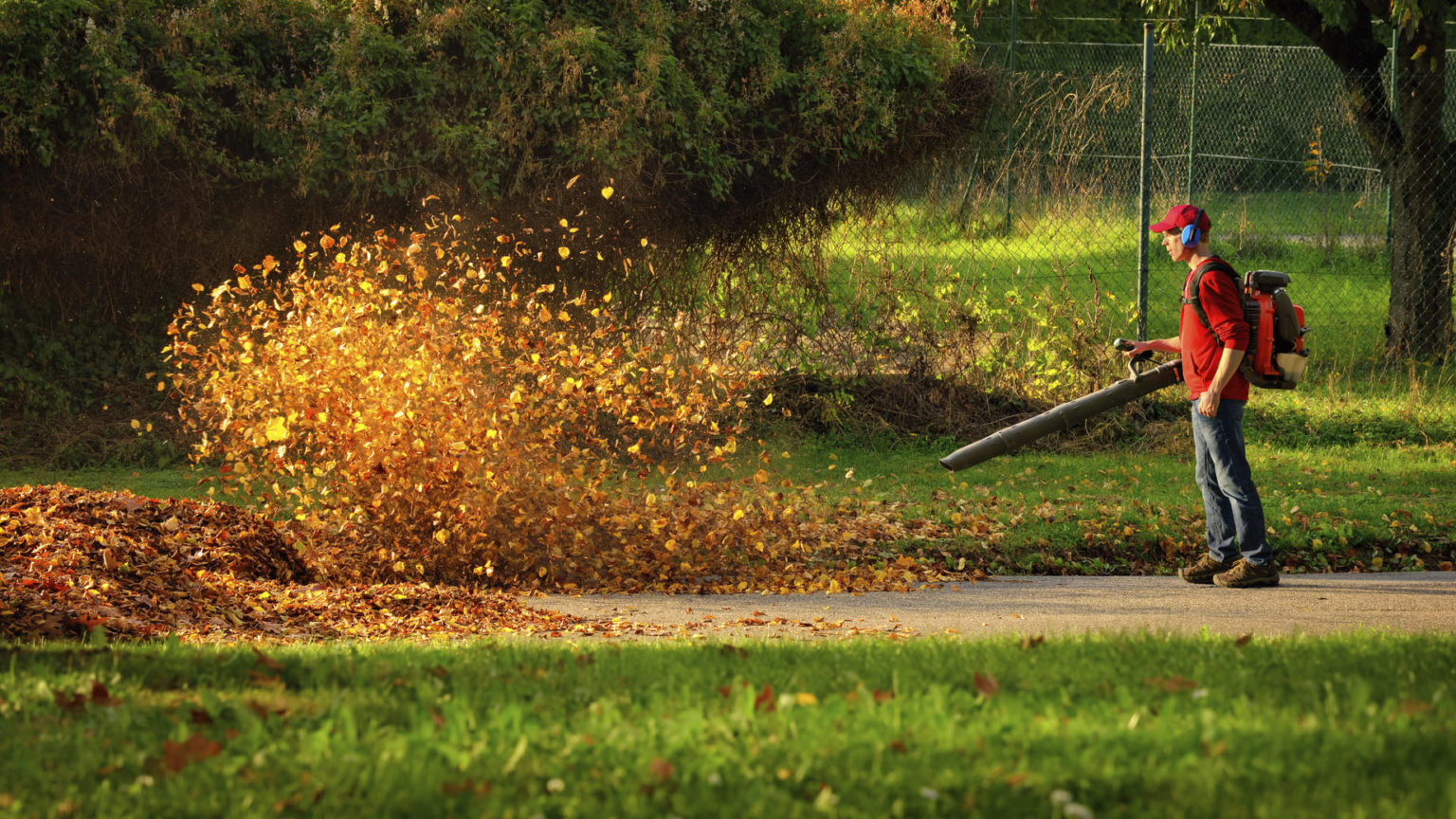 fall leaf cleanup 1 1536x864